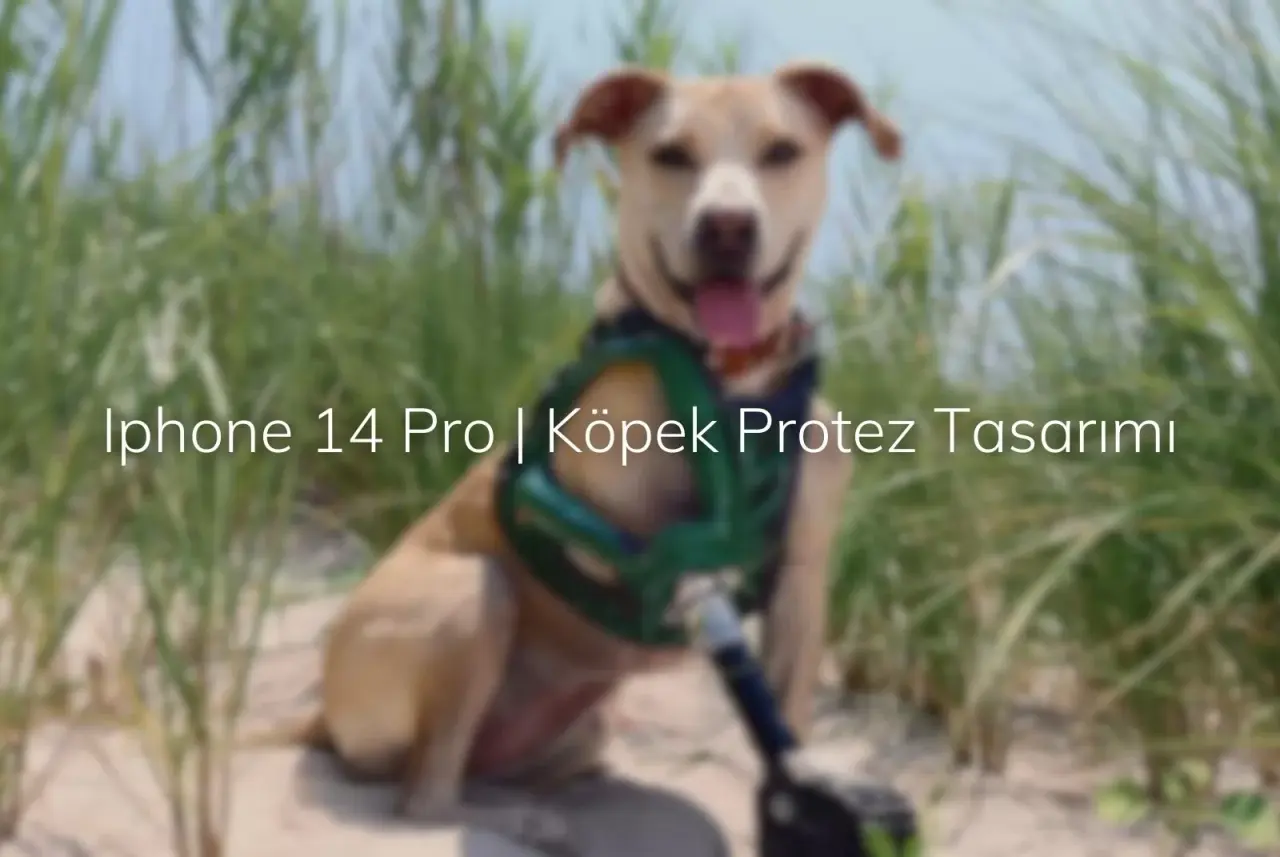 Iphone 14 Pro Ve Köpek Protez Tasarımı