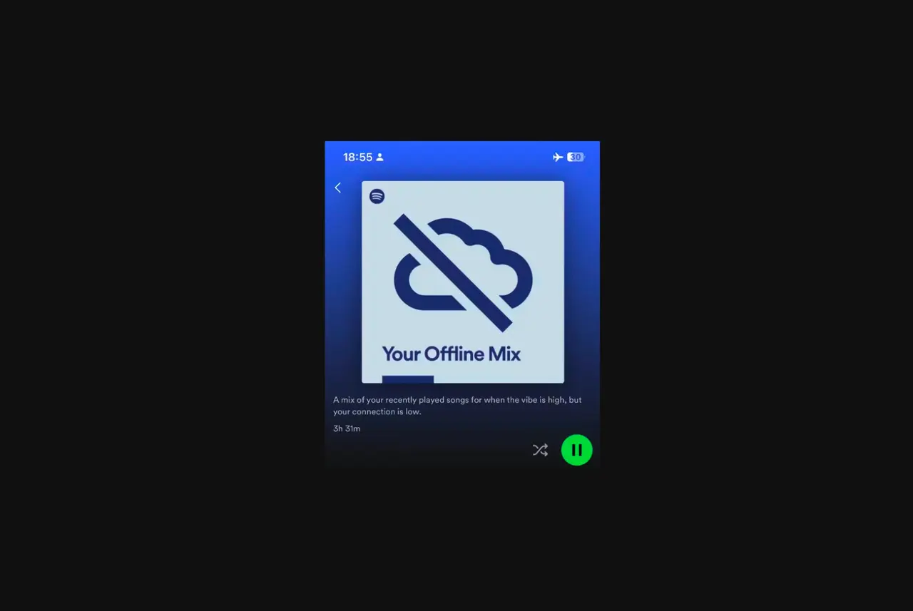 Spotify: Offline Mix