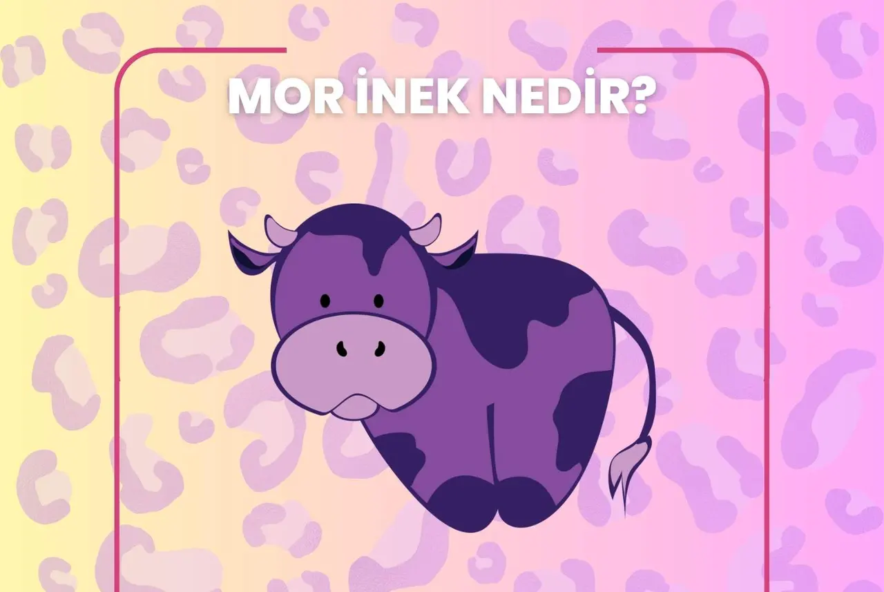 Seth Godin’in kitabında bahsettiği Mor İnek nedir?