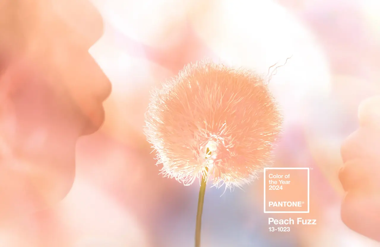 Pantone 2024 rengini açıkladı: Peach Fuzz