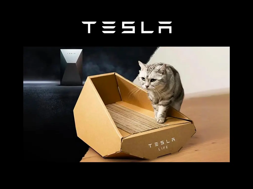 Tesla’dan kedi yatağı!